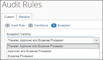 audit rules